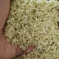 کالابرگی رایگان خرید کن (( تخفیفی ببر ))|جواهرات|دوگنبدان, |دیوار