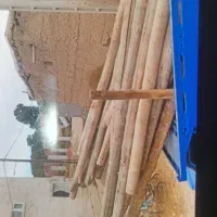 خرید انواع چوب با بالاترین قیمت