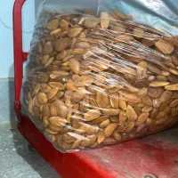 مغز۱۰ کیلو دیم مالیچه