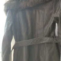 پالتوزنانه|لباس|مبارکه, |دیوار