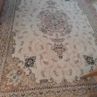 یک جفت فرش 12متری|فرش|هچیرود, |دیوار