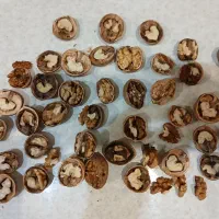 گردو تویسرکان