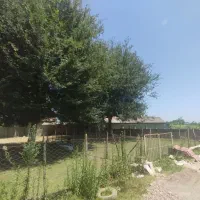 زمین ۳۱۶متری مسکونی