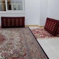 پشتی یک جفت نو