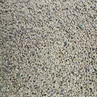 بذریونجه دستگیر