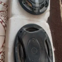 دوعدد باند سالم