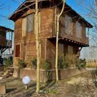 ویلا-جنگلی-جزیره-ای-رویایی-با-لاین-آبی-اختصاصی