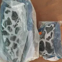 سرویس کالسکه