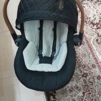 کریر دلیجان