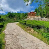 اجاره کلبه جنگلی تو کوهپایه تو قلعه رودخان|اجارهٔ کوتاه‌مدت ویلا و باغ|رشت, استادسرا|دیوار