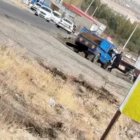 کود گوسفند همان پهن گوسفند