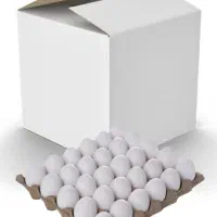 کارتن حمل جوجه و تخم مرغ