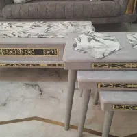 میز پذیرایی و۳ گل میز