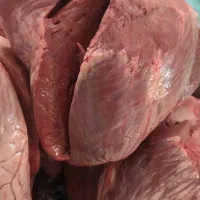 ماهی،دیسکس،میکس دل  تخفیف به مدت 10روز|ماهی|تهران, فرزانه|دیوار