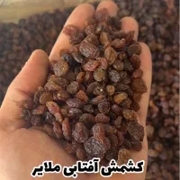 کشمش /مویز /شیره انگور|خوردنی و آشامیدنی|تهران, مولوی|دیوار