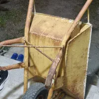 فرغون سالم ۲عدد انزلی