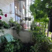 فروش واحد طبقه اول در جماران|فروش آپارتمان|رشت, جماران|دیوار
