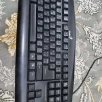 کامپیوتر ممعمولی|رایانه رومیزی|بجنورد, |دیوار