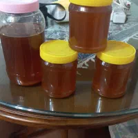 عسل آذربایجان|خوردنی و آشامیدنی|تهران, کرمان|دیوار