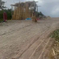 ماده عراقی|سگ|سراجو, |دیوار