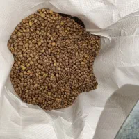 دون،قهوه اسپرسو،،دانه،سوپر کرما