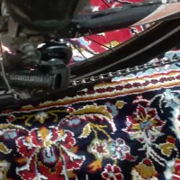 کوی گلدش خیابان هشتم