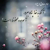 برق و دوربین  دزد گیر