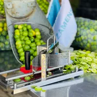 اسلایسر لیمو