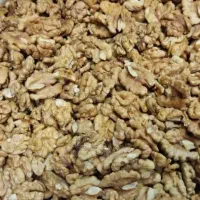 مغز گردو|عمدهفروشی|قم, باغ شریفی|دیوار