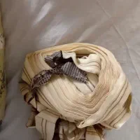 دکمه|لوازم خیاطی و بافتنی|تهران, خانی‌آباد|دیوار