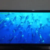 تلویزیون ۴۷ اینچ ال جی