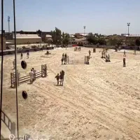 آموزش سوارکاری اسب سواری|خدمات آموزشی|تهران, شهرک غزالی|دیوار