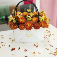 گلسرای پرنسا|خدمات پذیرایی، مراسم|شیروان (خراسان), |دیوار