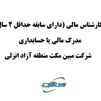 کارشناس مالی