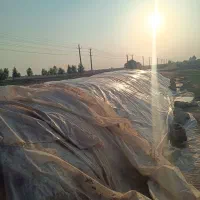 گاه|حیوانات مزرعه|شوشتر, |دیوار