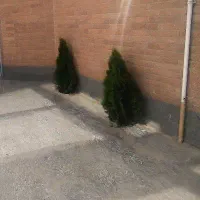 منزل شمالی همکف نوساز منتظری جنوبی ولیعصر ارگ