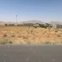 زمین-باغی