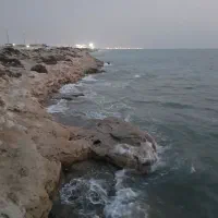 باغ ویلا نزدیک به ساحل دریا در. بندرزیبای گناوه|اجارهٔ کوتاهمدت ویلا و باغ|بندر گناوه, |دیوار