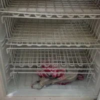 یخچال فریزر سالم|یخچال و فریزر|اهواز, شهرک الهیه|دیوار