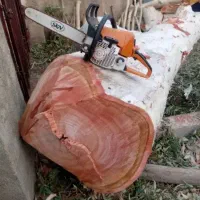 خریدار انواع چوب با بهترین