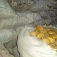 فروش سیب زمینی جیلی|خوردنی و آشامیدنی|نظر کهریزی, |دیوار