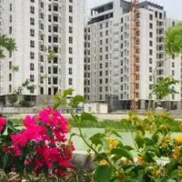 فروش امتیاز نیک ترابر