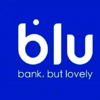 کسب درآمد از طریق بلو