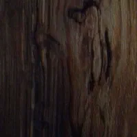 درب چوبی دولنگه وتک لنگه|مصالح و تجهیزات ساختمان|هشتگرد, شهرک ولیعصر (مهستان)|دیوار