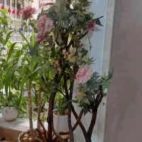 گل منصوعی خیلی زیبا|گل مصنوعی|مسجد سلیمان, |دیوار