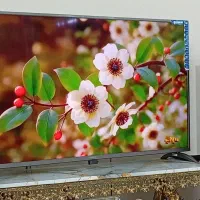 تلویزیون صنام باتصویر روشن ۵۵ اینچ سالم|تلویزیون و پروژکتور|همدان, |دیوار