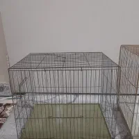 قفس سالم و تمیز