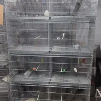 قفس هشت خان بازاری و پژاوند|لوازم جانبی حیوانات|کرج, شهرک بنفشه|دیوار