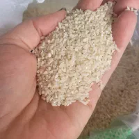 برنج هاشمی وبرنج نیم دانه سورتینگ  شده هاشمی|خوردنی و آشامیدنی|لاهیجان, کوی آزادگان|دیوار