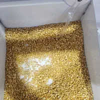 قفسه حبوباتی|کتابخانه، شلف، قفسههای دیواری|محمدشهر, محمدشهر|دیوار